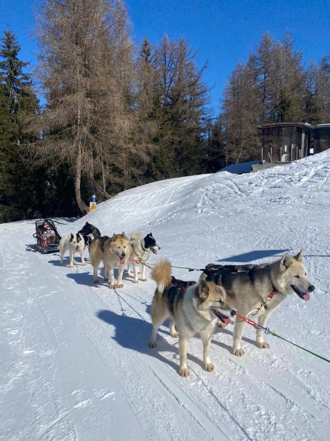 Apartamento Plagne Bellecote - 5 Pers - Vue Pistes - Acces Piscine Chauffee La Plagne Exterior foto
